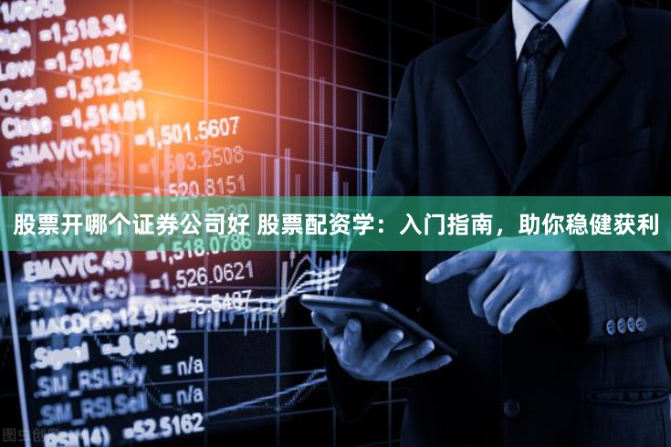 股票开哪个证券公司好 股票配资学：入门指南，助你稳健获利